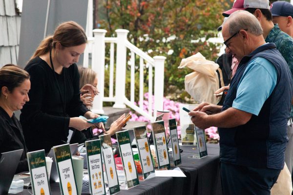 IMG_7550-min #image_title