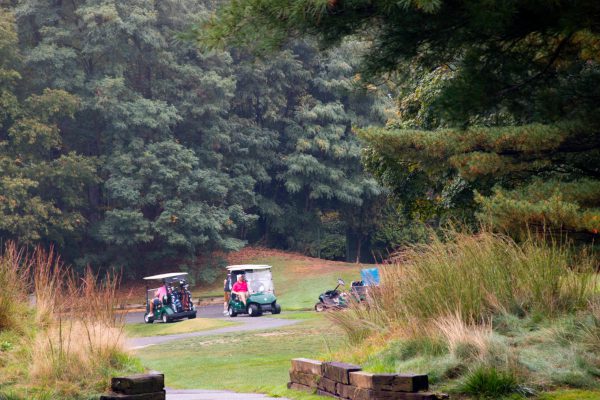 IMG_7720-2-min #image_title