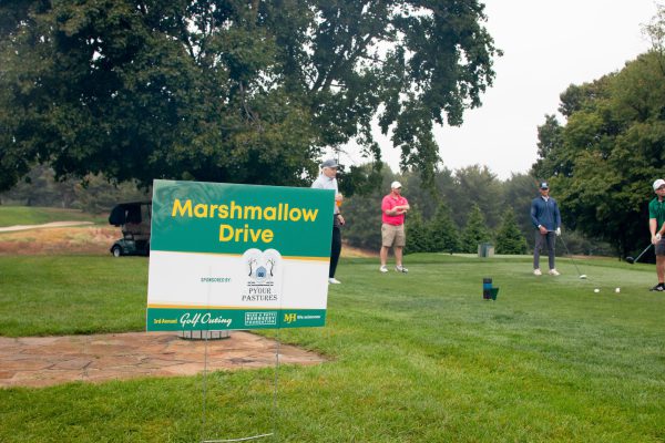 IMG_7787-min #image_title